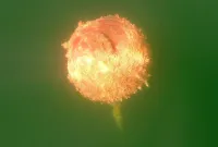 20260710_170301