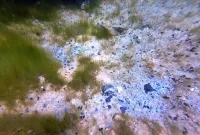 20260711_0085_D