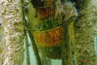 P8160013