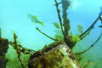 P8210028