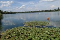 Panorama am Waidsee